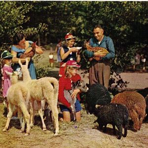 Catskill Game Farm Postcard