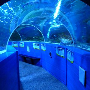 Underwater tunnel