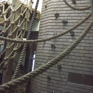 Rock climbing at Blackpool Zoo 15/01/12