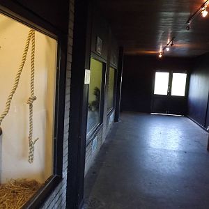 Indoor nocturnal house at Blackpool Zoo 15/01/12