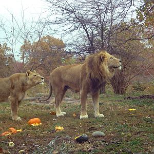 Dumisani and Jean watching