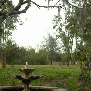 Maharajah Jungle Trek - Tiger Exhibit