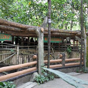 Cassowary's exhibits
