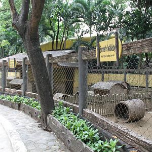 Marsupials' enclosures