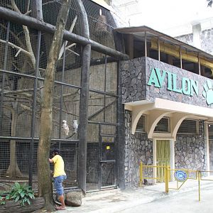 Cockatoos' Aviary and the 'Avilon Kennel' for dogs
