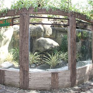 Fennec's (Vulpes zerda) exhibit