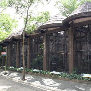 Birds of Prey's Lane