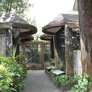 Aviaries for small owls and other small birds of prey