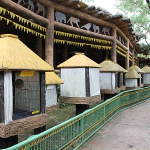Aviaries for finches and other small insectivorous/frugivorous birds