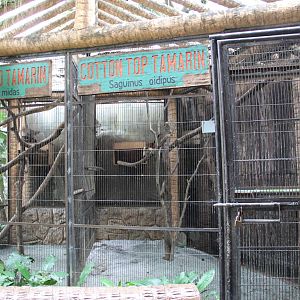 Example of some of the Tamarins' aviaries