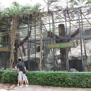 Example of some of the big cats' exhibits