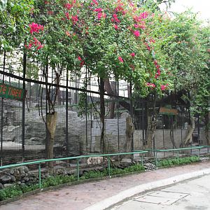 View over some of the carnivores' exhibits