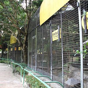 Aviaries for Fruit Doves and Mouse Deer