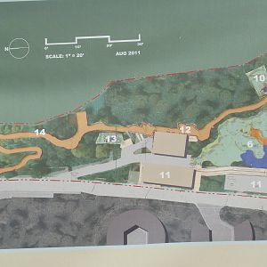 The Rainforest of the Americas site plan