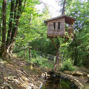 Common marmoset enclosure