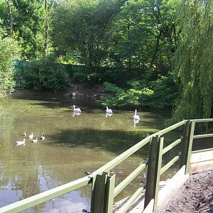 Entrance (former hippo enclosure)
