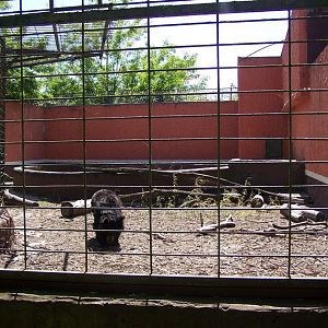 Thibetan bear enclosure