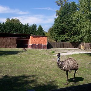 Australian enclosure