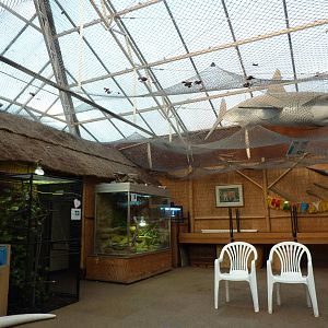 Animal display area
