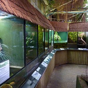 Reptile enclosures