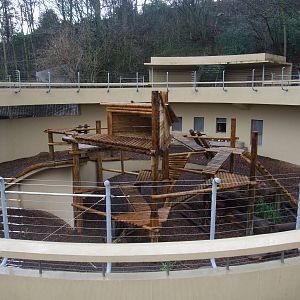 Asian Black Bear Exhibit at Dudley, 18/12/11