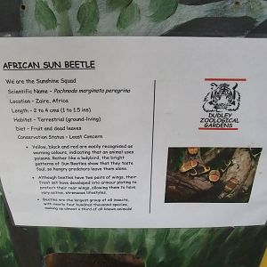 Signage Example at Dudley, 18/12/11