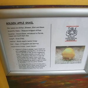 Signage Example at Dudley, 18/12/11