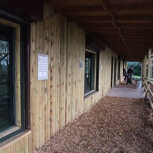 Orang-Utan Viewing at Dudley, 18/12/11