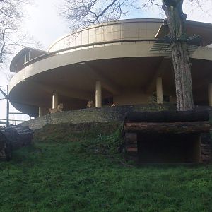 Lion Paddock at Dudley, 18/12/11