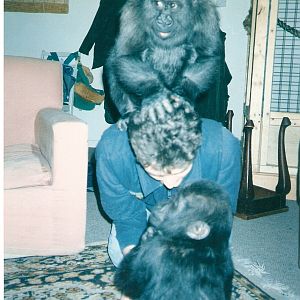 Tamki baby pictures at Howletts 1990/91