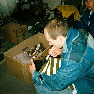 Ambam baby pictures Howletts 1991 onwards