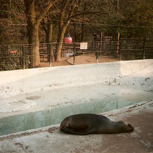 Ancient photos of Colchester circa1987-1988