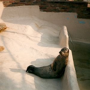 Ancient photos of Colchester circa1987-1988