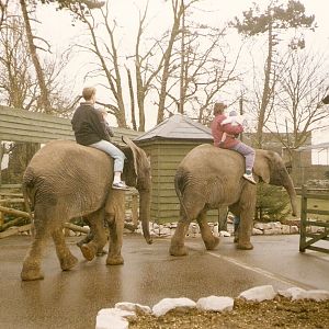 Ancient photos of Colchester circa1987-1988
