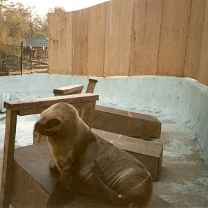 Ancient photos of Colchester circa1987-1988