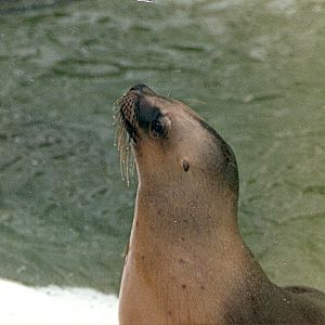 Ancient photos of Colchester circa1987-1988