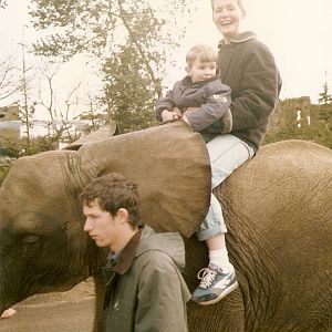 Ancient photos of Colchester circa1987-1988