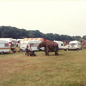 Circus Elephant at Bridlington 1984