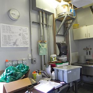 Sunrise Stroll mixed exhibit barn