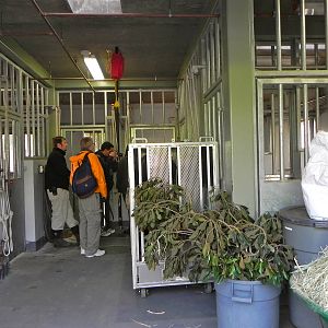 Sunrise Stroll mixed exhibit barn