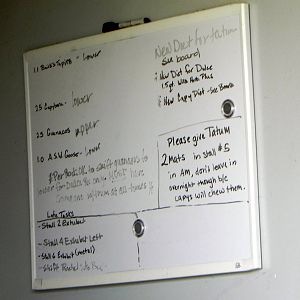 Sunrise Stroll mixed exhibit barn