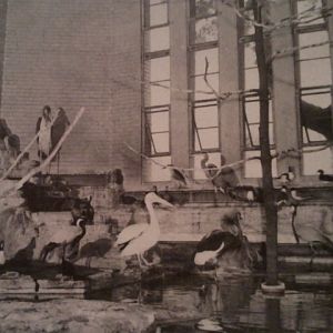 1952-Aquatic Bird House