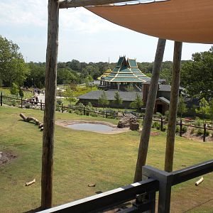 Asian Elephant exhibit