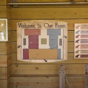 Asian Elephant exhibit