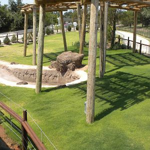 Asian Elephant exhibit