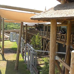 Asian Elephant exhibit