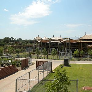 Asian Elephant exhibit