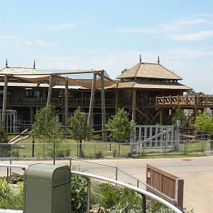 Asian Elephant exhibit