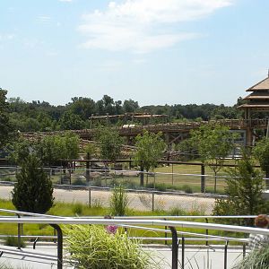 Asian Elephant exhibit