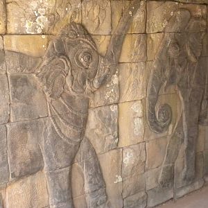 Asian Elephant exhibit